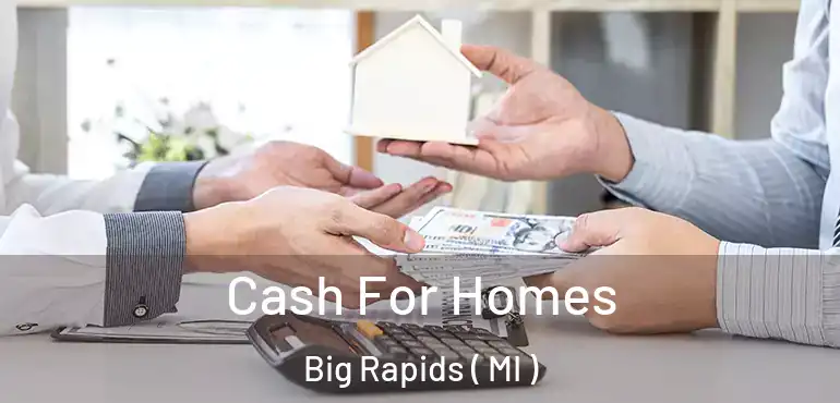  Cash For Homes Big Rapids ( MI )