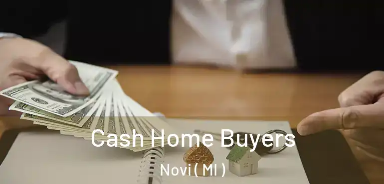  Cash Home Buyers Novi ( MI )