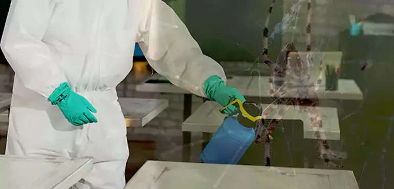 Why Buyers Still Want Homes With Pest Infestations in Michigan, MI?