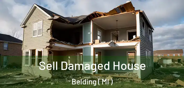  Sell Damaged House Belding ( MI )