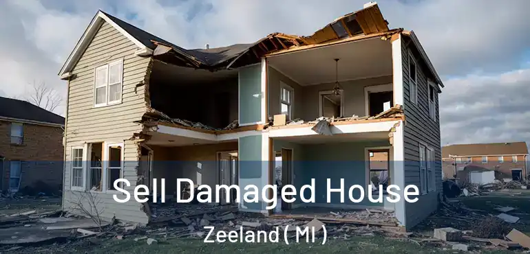  Sell Damaged House Zeeland ( MI )