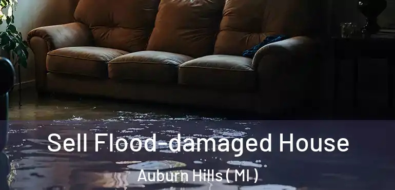  Sell Flood-damaged House Auburn Hills ( MI )