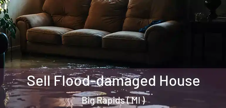  Sell Flood-damaged House Big Rapids ( MI )