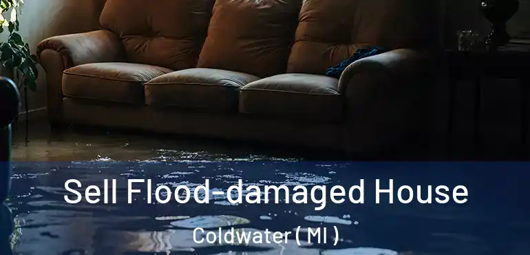  Sell Flood-damaged House Coldwater ( MI )