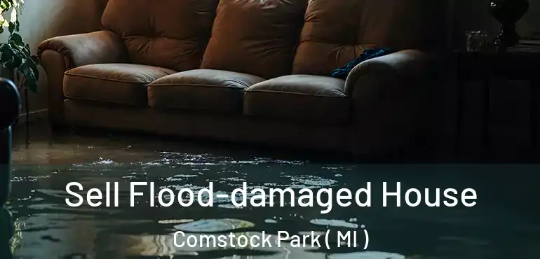  Sell Flood-damaged House Comstock Park ( MI )
