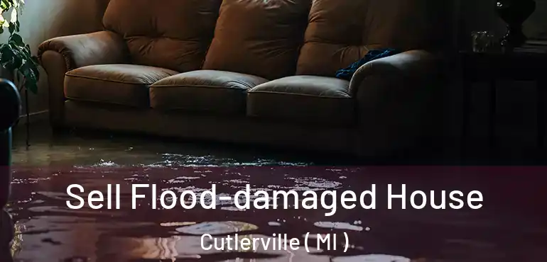  Sell Flood-damaged House Cutlerville ( MI )