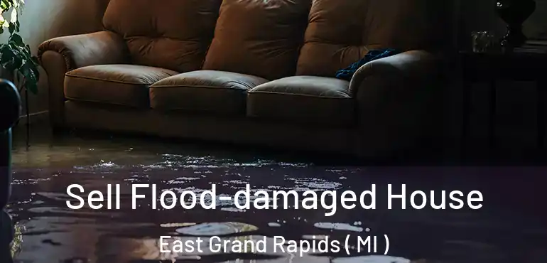  Sell Flood-damaged House East Grand Rapids ( MI )