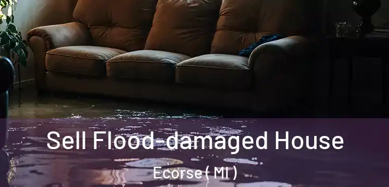  Sell Flood-damaged House Ecorse ( MI )