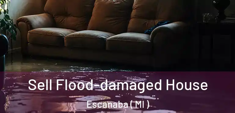  Sell Flood-damaged House Escanaba ( MI )