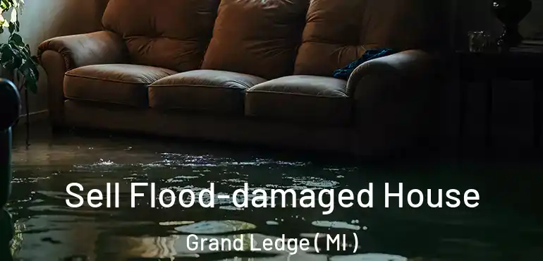  Sell Flood-damaged House Grand Ledge ( MI )