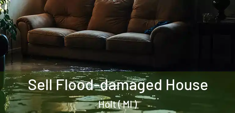  Sell Flood-damaged House Holt ( MI )