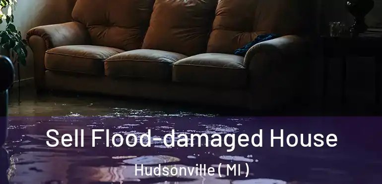  Sell Flood-damaged House Hudsonville ( MI )