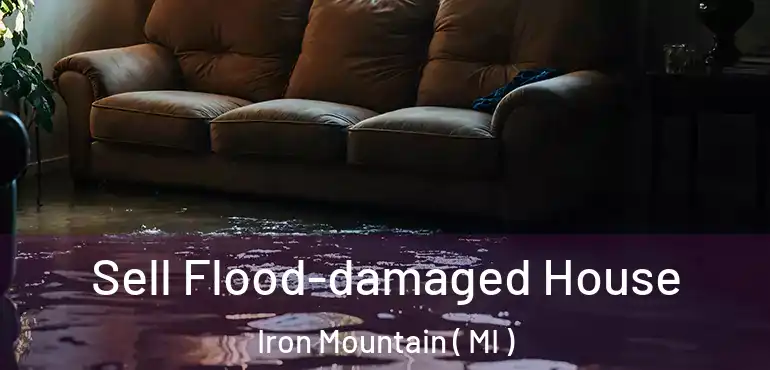  Sell Flood-damaged House Iron Mountain ( MI )