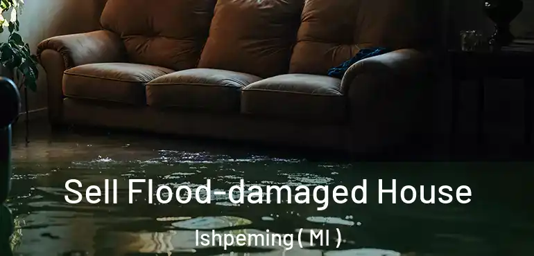  Sell Flood-damaged House Ishpeming ( MI )