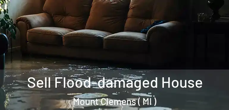  Sell Flood-damaged House Mount Clemens ( MI )