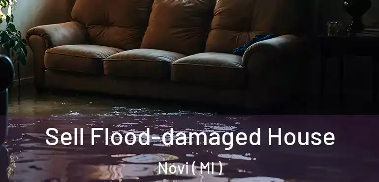  Sell Flood-damaged House Novi ( MI )