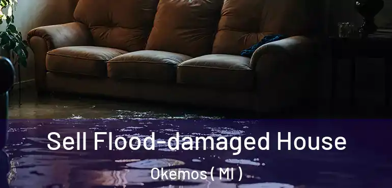  Sell Flood-damaged House Okemos ( MI )