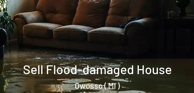  Sell Flood-damaged House Owosso ( MI )