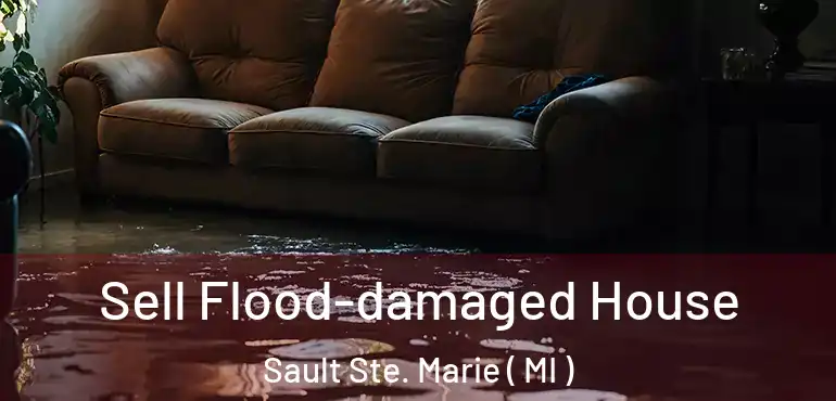  Sell Flood-damaged House Sault Ste. Marie ( MI )