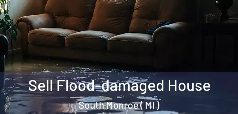  Sell Flood-damaged House South Monroe ( MI )