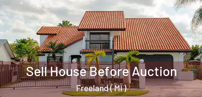  Sell House Before Auction Freeland ( MI )