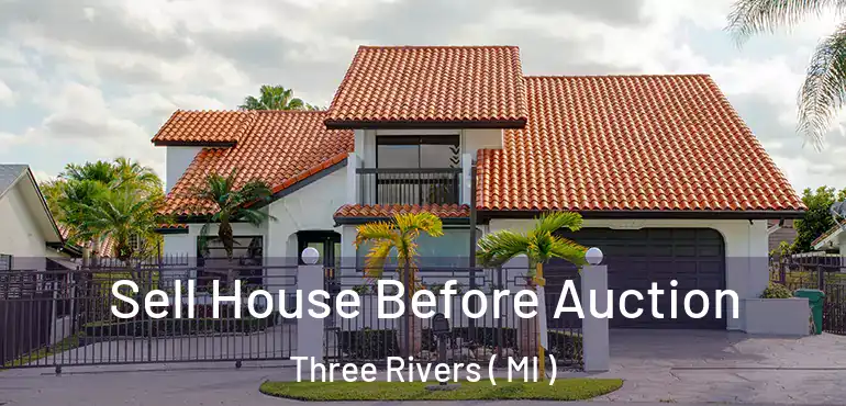 Sell House Before Auction Three Rivers ( MI )