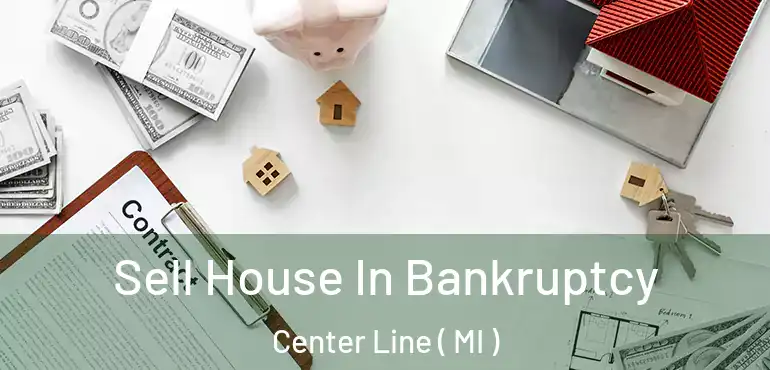  Sell House In Bankruptcy Center Line ( MI )