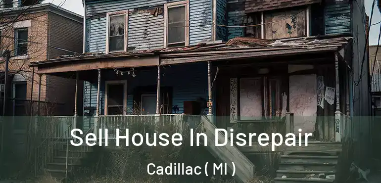  Sell House In Disrepair Cadillac ( MI )