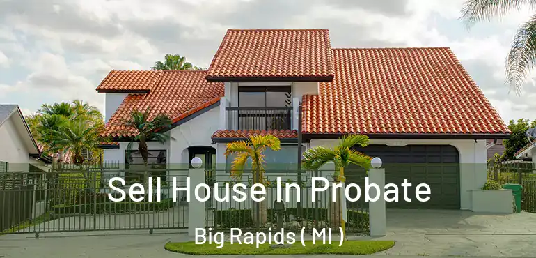  Sell House In Probate Big Rapids ( MI )
