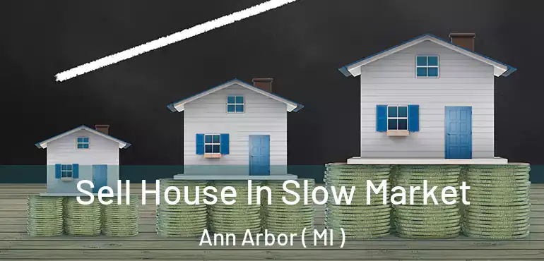  Sell House In Slow Market Ann Arbor ( MI )