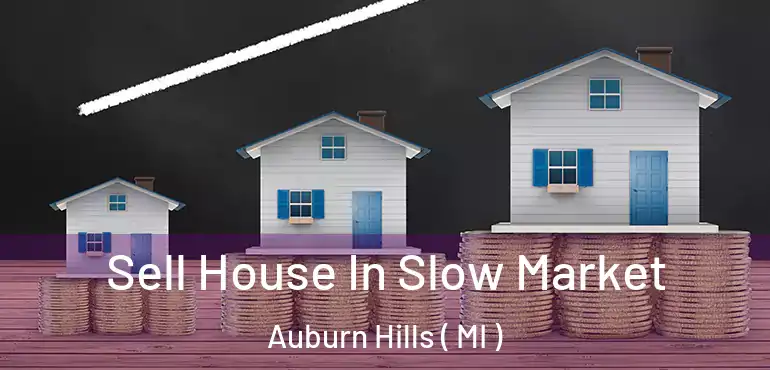  Sell House In Slow Market Auburn Hills ( MI )