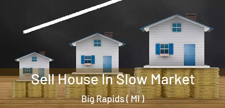  Sell House In Slow Market Big Rapids ( MI )