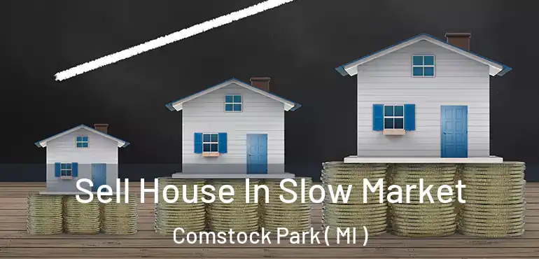  Sell House In Slow Market Comstock Park ( MI )