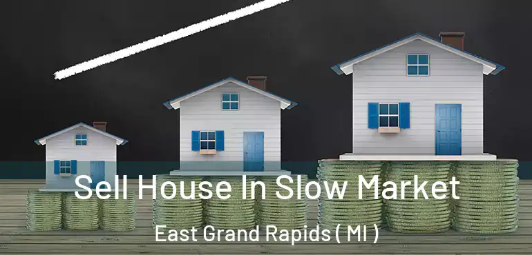  Sell House In Slow Market East Grand Rapids ( MI )