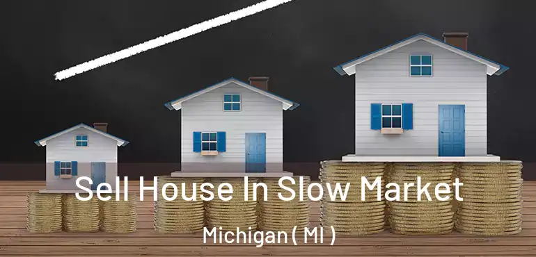 Sell House In Slow Market Michigan ( MI )
