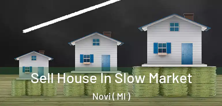  Sell House In Slow Market Novi ( MI )