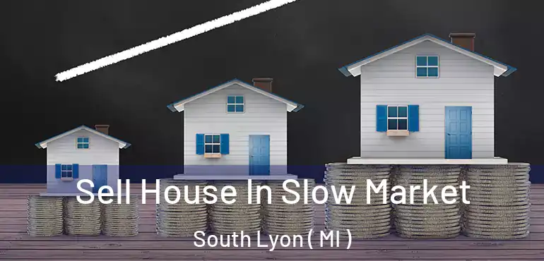  Sell House In Slow Market South Lyon ( MI )