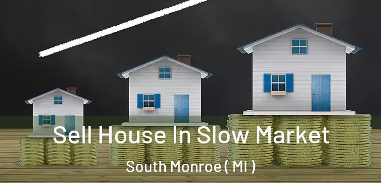  Sell House In Slow Market South Monroe ( MI )