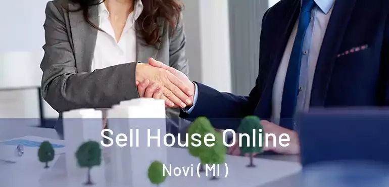  Sell House Online Novi ( MI )