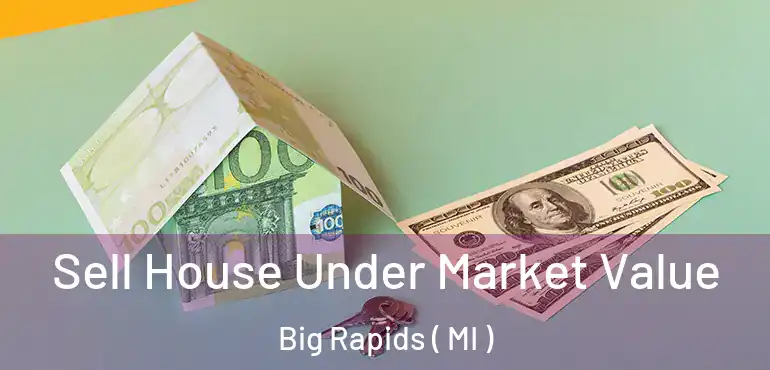  Sell House Under Market Value Big Rapids ( MI )