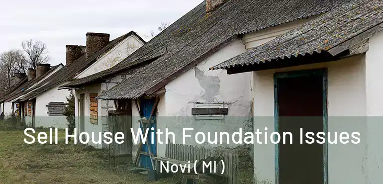  Sell House With Foundation Issues Novi ( MI )