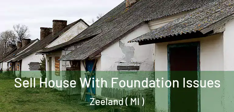  Sell House With Foundation Issues Zeeland ( MI )