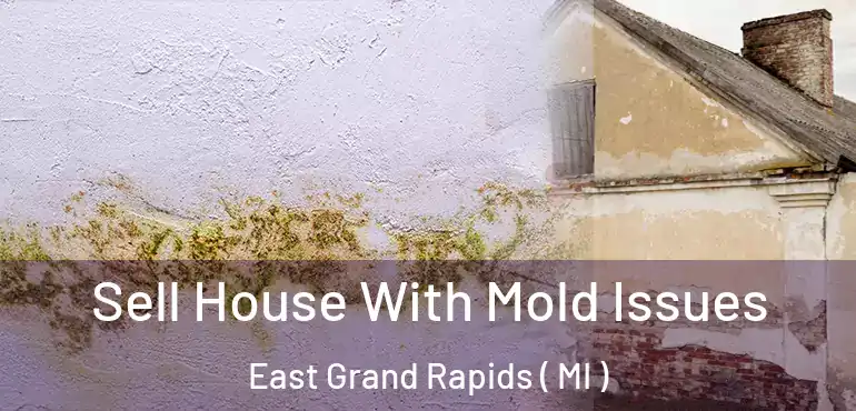  Sell House With Mold Issues East Grand Rapids ( MI )