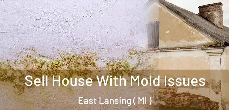  Sell House With Mold Issues East Lansing ( MI )