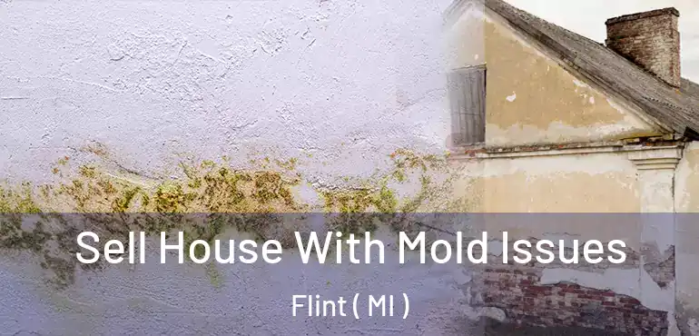  Sell House With Mold Issues Flint ( MI )