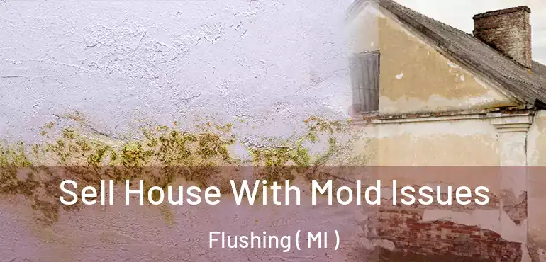  Sell House With Mold Issues Flushing ( MI )