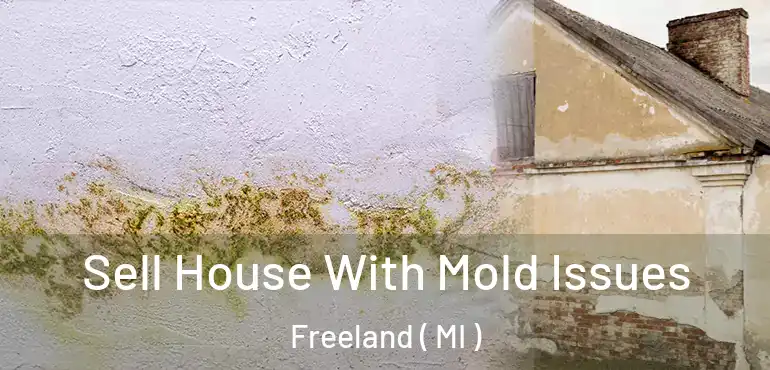  Sell House With Mold Issues Freeland ( MI )