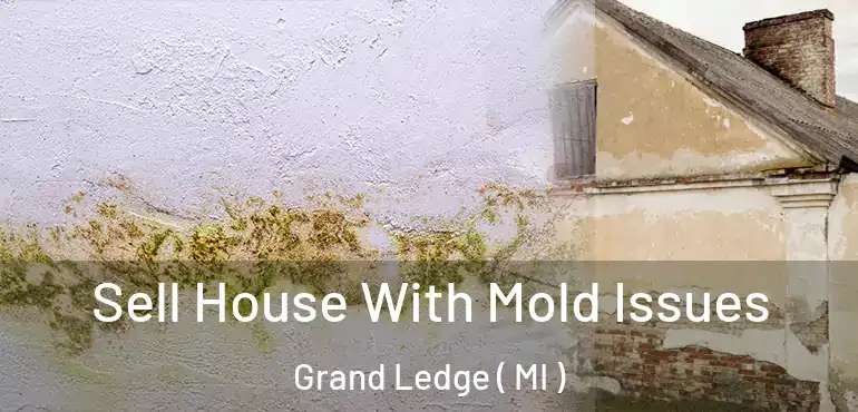  Sell House With Mold Issues Grand Ledge ( MI )