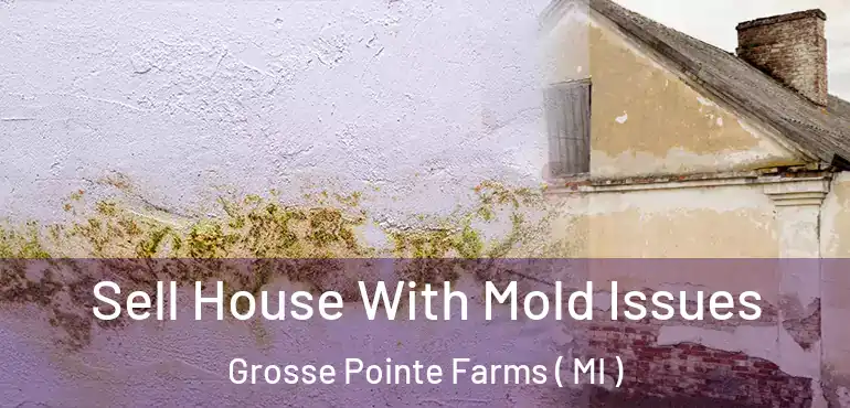  Sell House With Mold Issues Grosse Pointe Farms ( MI )