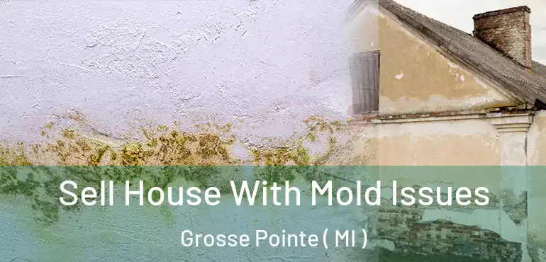  Sell House With Mold Issues Grosse Pointe ( MI )